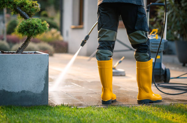 Best Pressure Washing Services Near Me  in New Brunswick, NJ